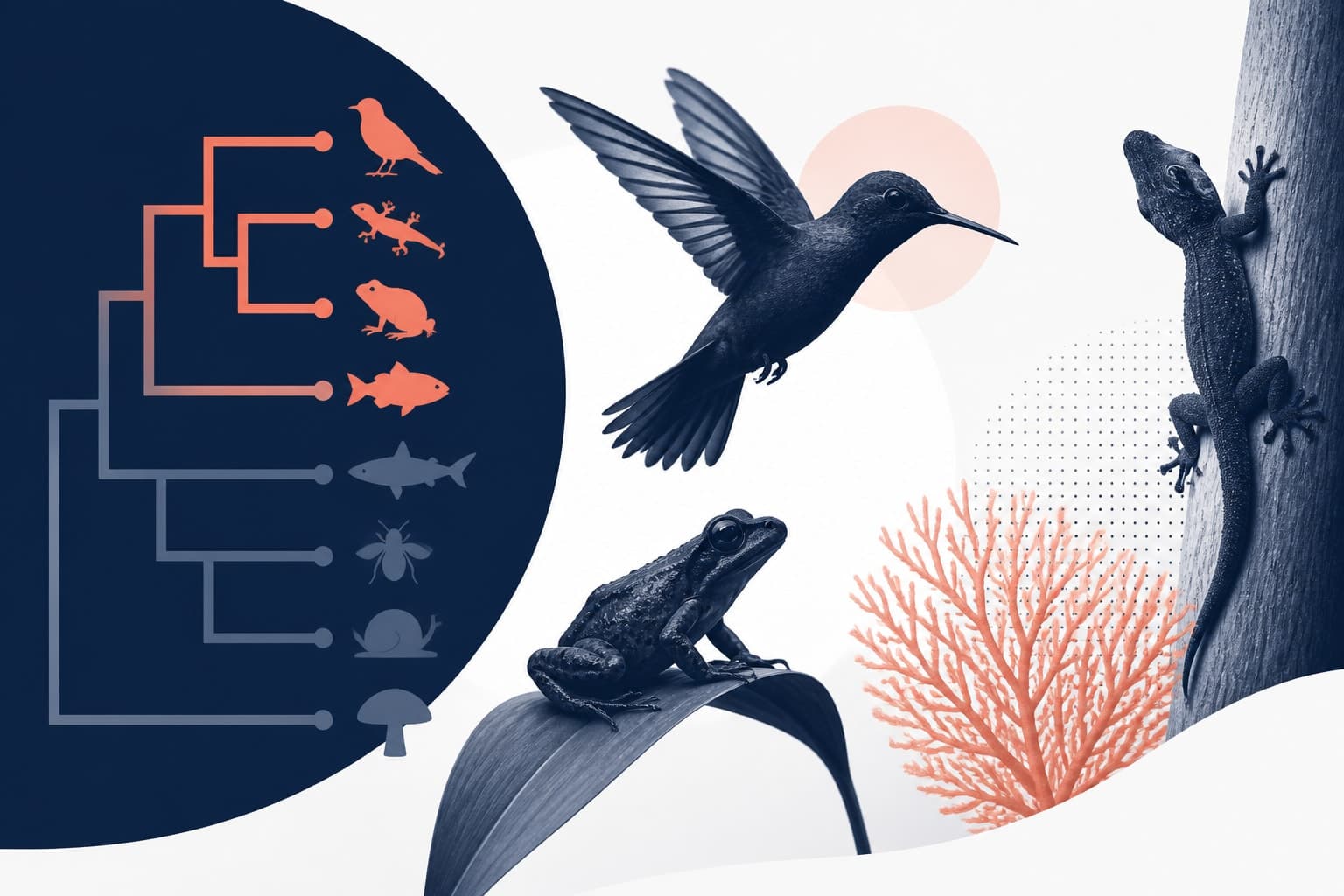 Editorial cover image for How to Use PhyloPic in Scientific Figures